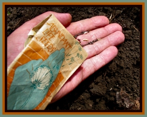 Abundant Life Seeds